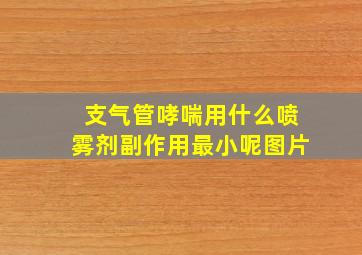 支气管哮喘用什么喷雾剂副作用最小呢图片