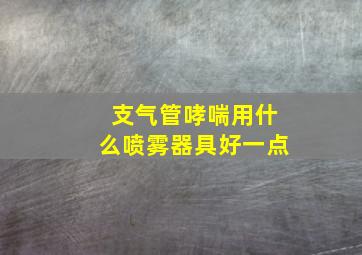 支气管哮喘用什么喷雾器具好一点