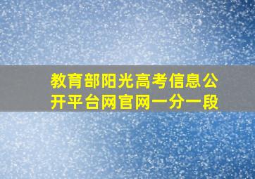 教育部阳光高考信息公开平台网官网一分一段