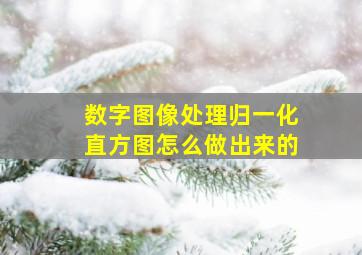 数字图像处理归一化直方图怎么做出来的