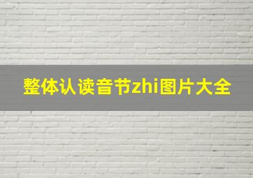 整体认读音节zhi图片大全