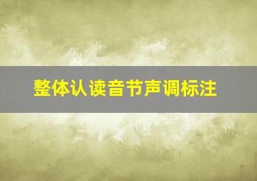 整体认读音节声调标注