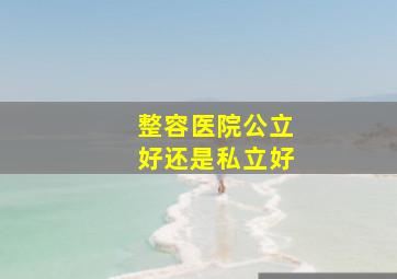 整容医院公立好还是私立好