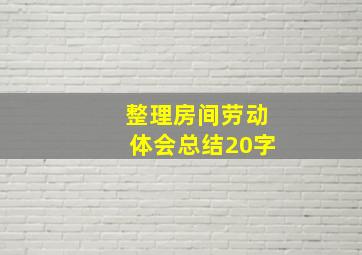 整理房间劳动体会总结20字