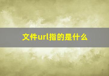 文件url指的是什么