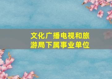 文化广播电视和旅游局下属事业单位