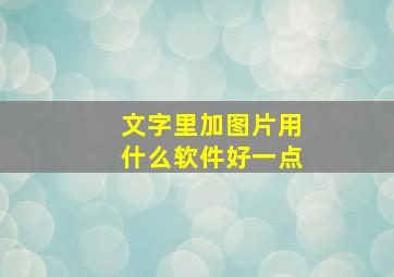 文字里加图片用什么软件好一点