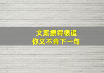 文案撩得很追你又不肯下一句