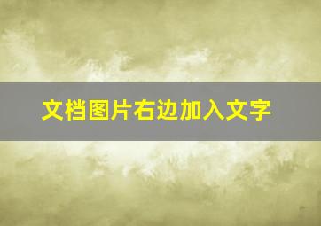 文档图片右边加入文字