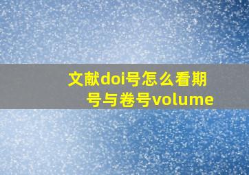 文献doi号怎么看期号与卷号volume