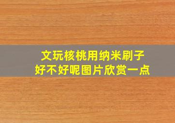 文玩核桃用纳米刷子好不好呢图片欣赏一点