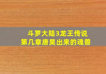 斗罗大陆3龙王传说第几章唐昊出来的魂兽