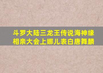 斗罗大陆三龙王传说海神缘相亲大会上娜儿表白唐舞麟