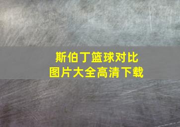 斯伯丁篮球对比图片大全高清下载