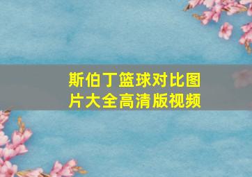 斯伯丁篮球对比图片大全高清版视频