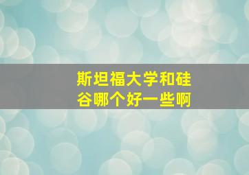 斯坦福大学和硅谷哪个好一些啊