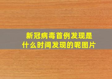 新冠病毒首例发现是什么时间发现的呢图片