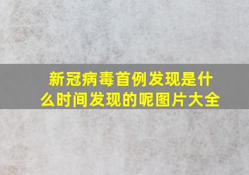 新冠病毒首例发现是什么时间发现的呢图片大全