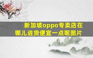 新加坡oppo专卖店在哪儿进货便宜一点呢图片