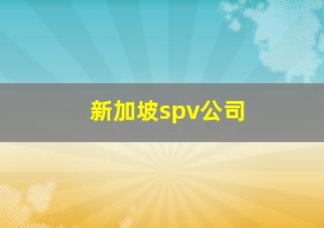 新加坡spv公司