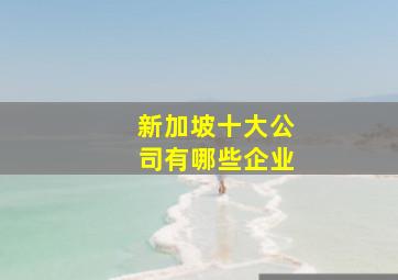 新加坡十大公司有哪些企业