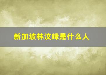 新加坡林汶峰是什么人