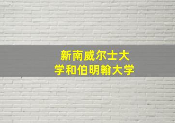 新南威尔士大学和伯明翰大学