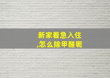 新家着急入住,怎么除甲醛呢