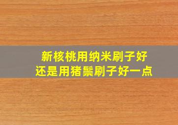 新核桃用纳米刷子好还是用猪鬃刷子好一点