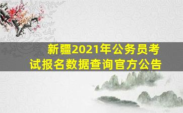 新疆2021年公务员考试报名数据查询官方公告