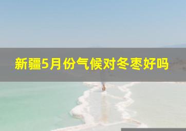 新疆5月份气候对冬枣好吗