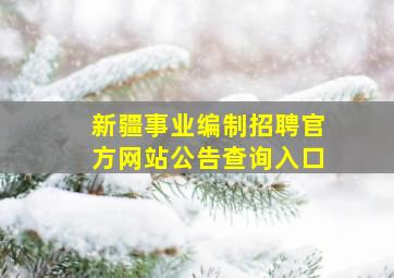 新疆事业编制招聘官方网站公告查询入口