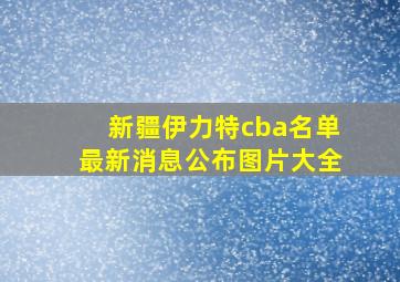 新疆伊力特cba名单最新消息公布图片大全