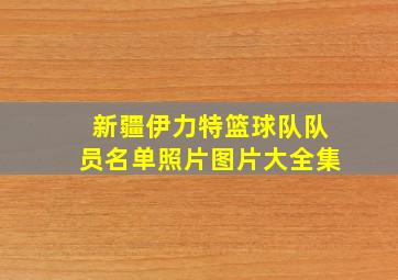 新疆伊力特篮球队队员名单照片图片大全集