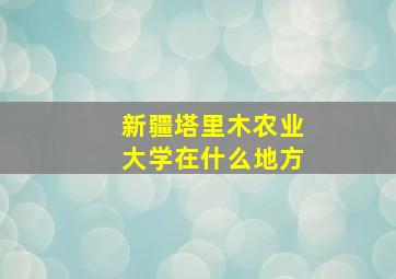 新疆塔里木农业大学在什么地方