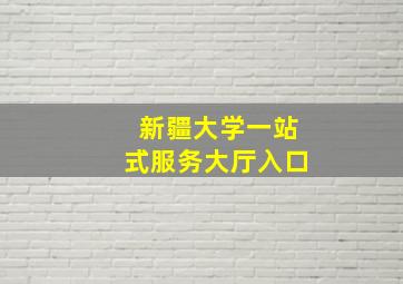 新疆大学一站式服务大厅入口