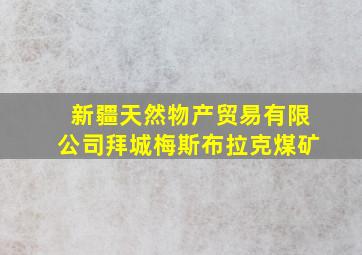 新疆天然物产贸易有限公司拜城梅斯布拉克煤矿