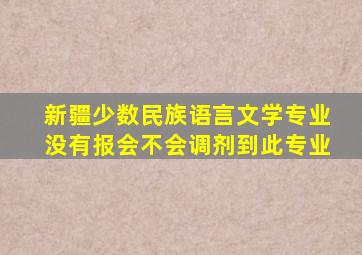 新疆少数民族语言文学专业没有报会不会调剂到此专业