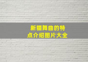 新疆舞曲的特点介绍图片大全