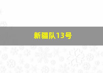 新疆队13号