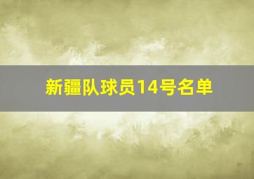 新疆队球员14号名单