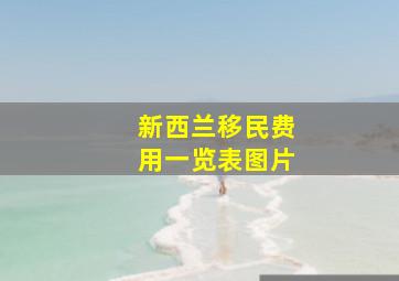 新西兰移民费用一览表图片