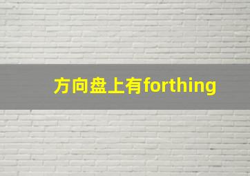 方向盘上有forthing