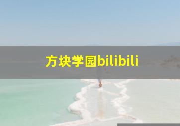 方块学园bilibili