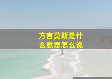 方言莫斯是什么意思怎么说