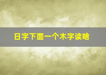 日字下面一个木字读啥