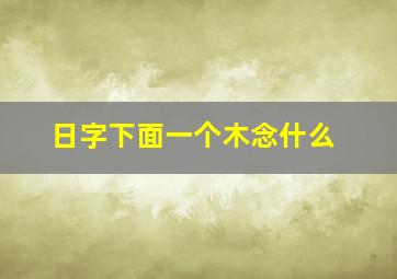 日字下面一个木念什么