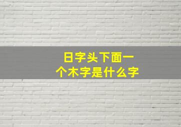 日字头下面一个木字是什么字