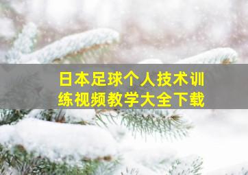 日本足球个人技术训练视频教学大全下载