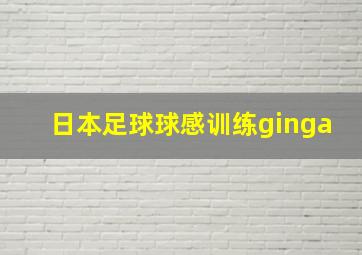 日本足球球感训练ginga